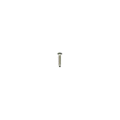 12-1000 6 x 3/4 S/steel pilot point srews (pk 100)