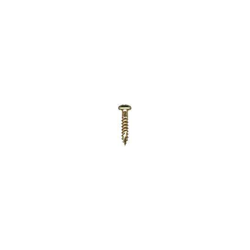 12-1010 25mm Tamper Proof Screw Pack of 25