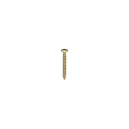 12-1020 38mm Triobular Tamper Proof Screws 25 Pack