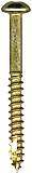 12-1030 65mm Triobular Tamper Proof Screws  25 Pack