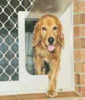 12-262 Large Petway Pet Door